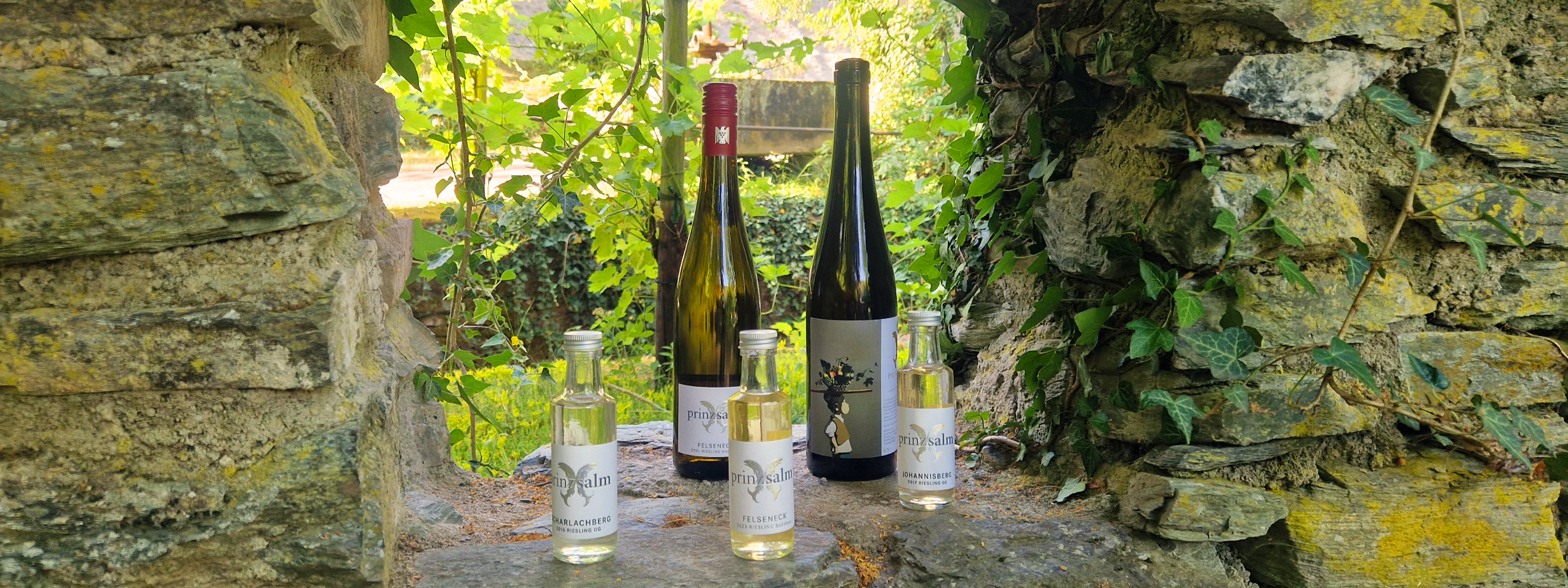 Nächste Online-Weinprobe am 03.09.2026 von 20-21 Uhr