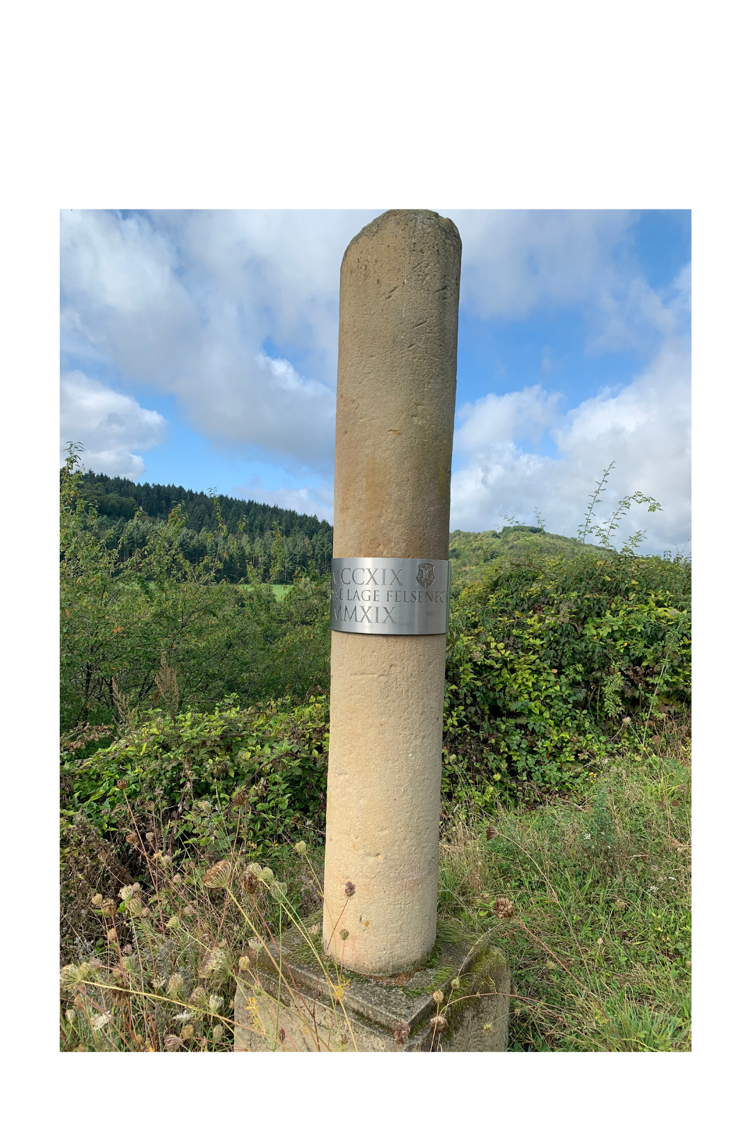 FELSENECK VDP.GROSSES GEWÄCHS® Riesling trocken 2014