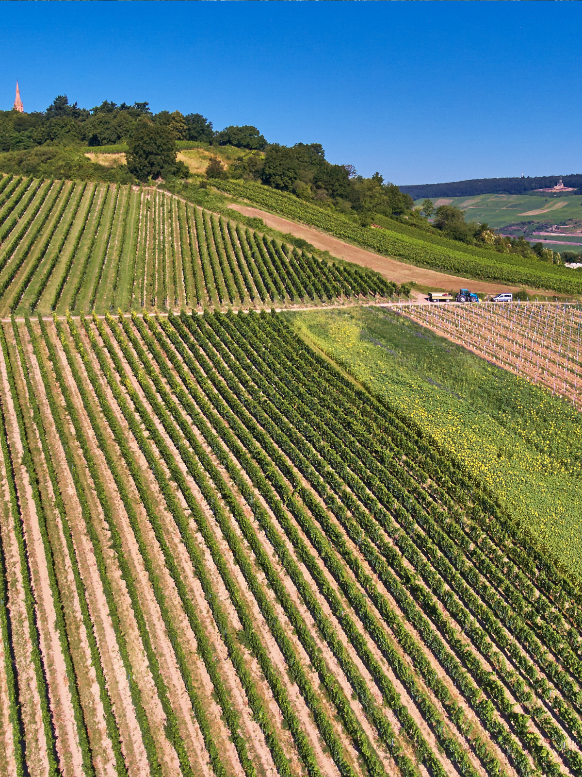 KIRCHBERG VDP.GROSSES GEWÄCHS® Riesling trocken 2016
