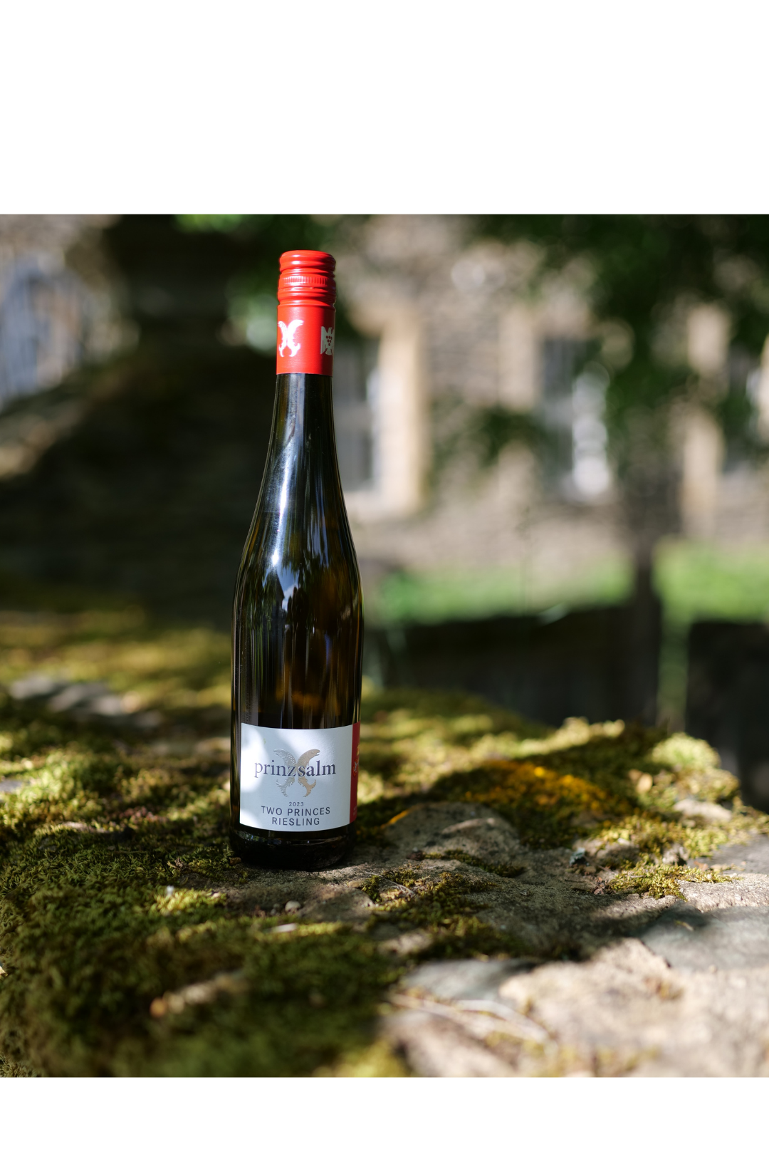 Two Princes VDP.GUTSWEIN feinherb 2024