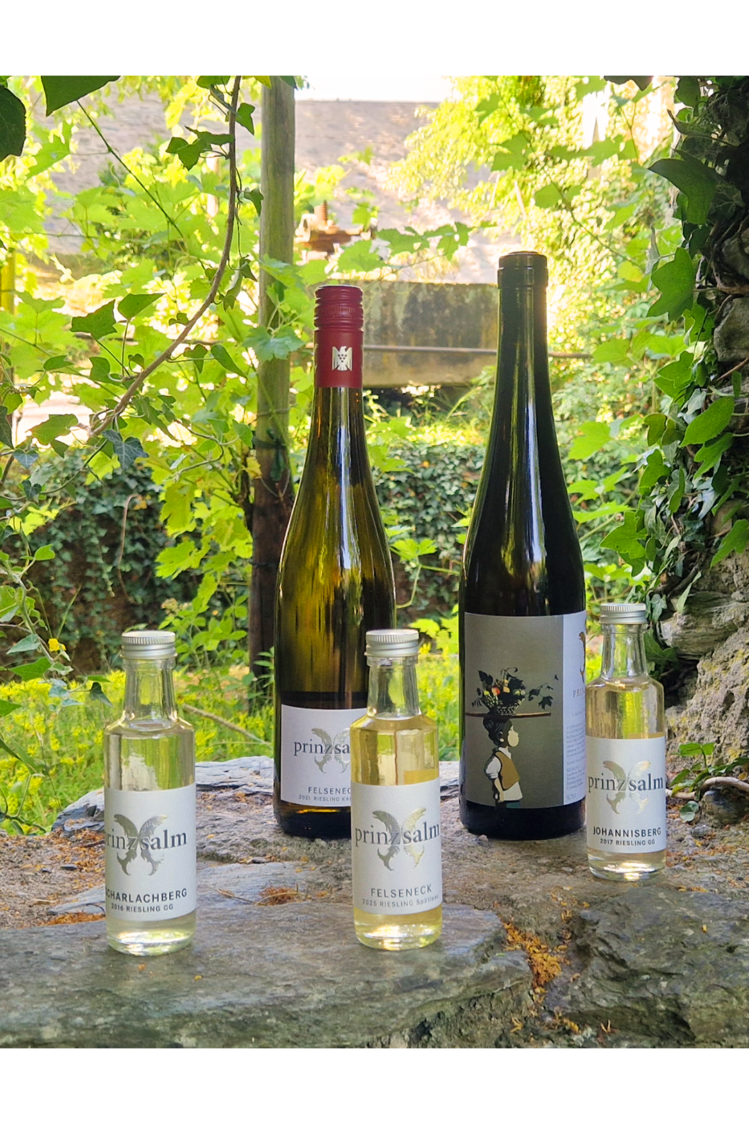 Online wine tasting on September 3, 2026, from 8-9 PM