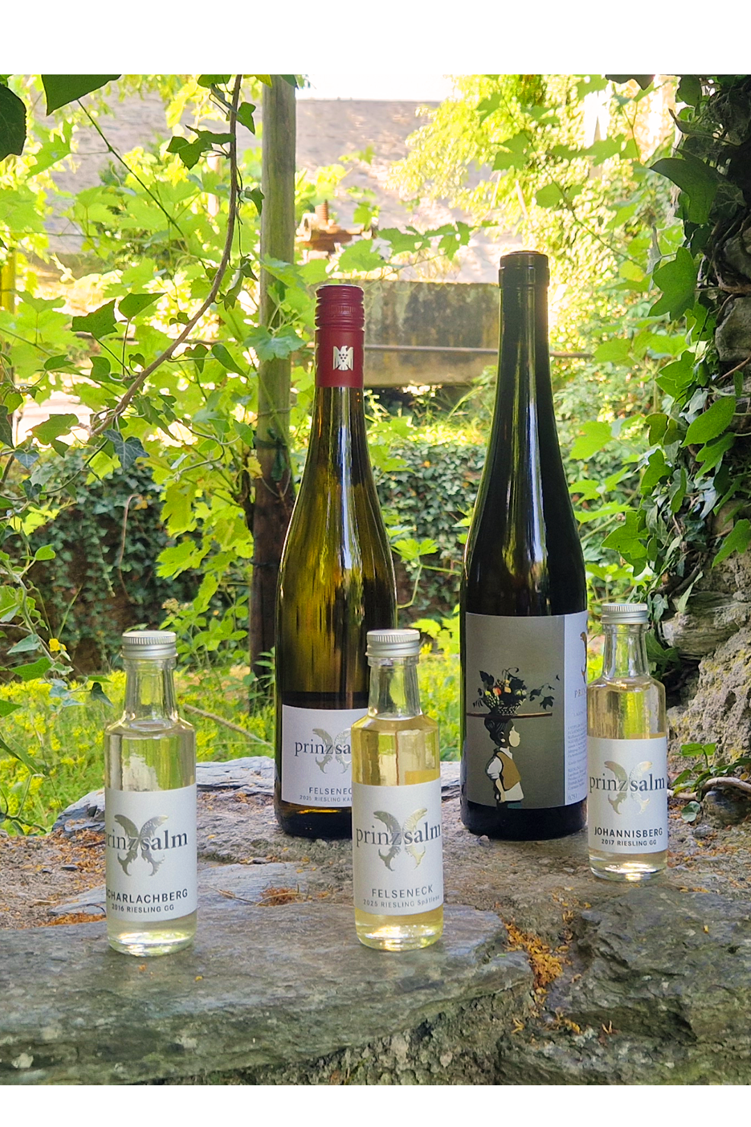 Online-Weinprobe am 03.09.2026 von 20-21 Uhr