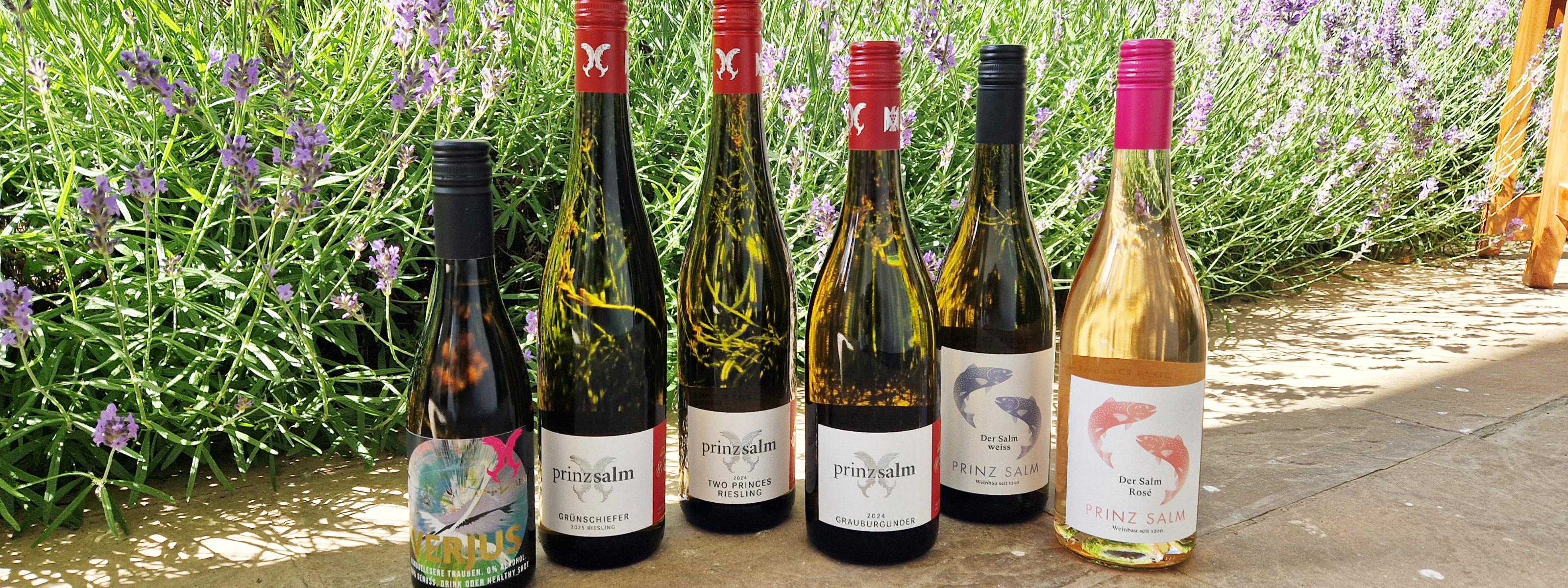 Online-Weinprobe am 16.07.2026 von 20-21 Uhr
