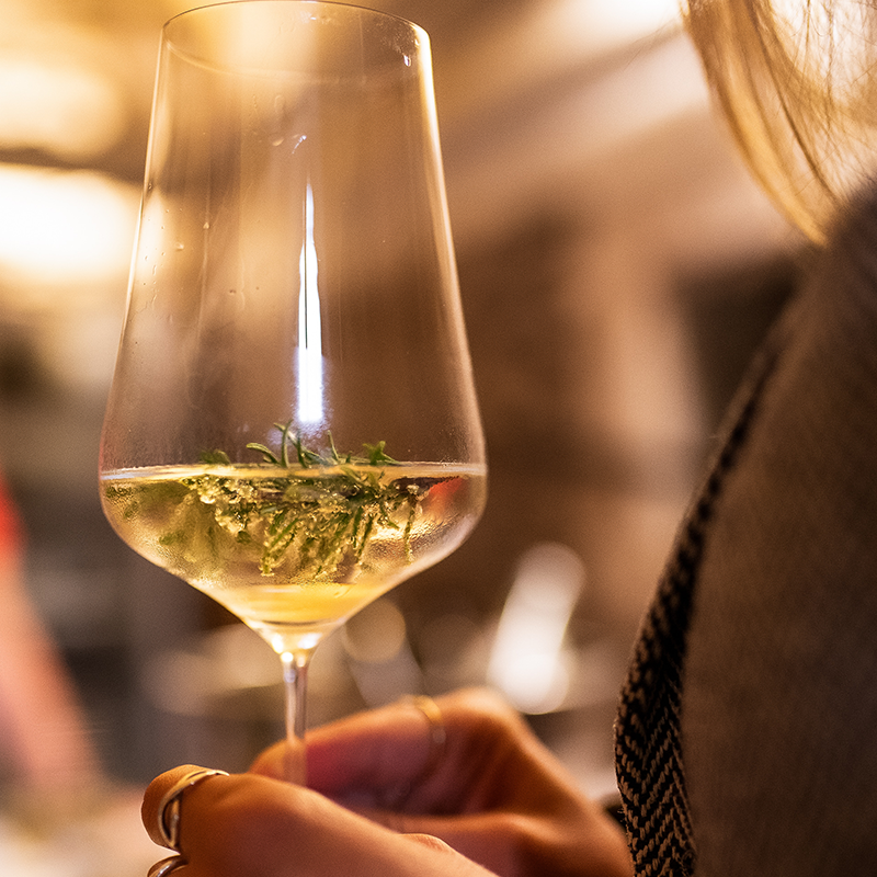 Rückblick OPEN CELLAR