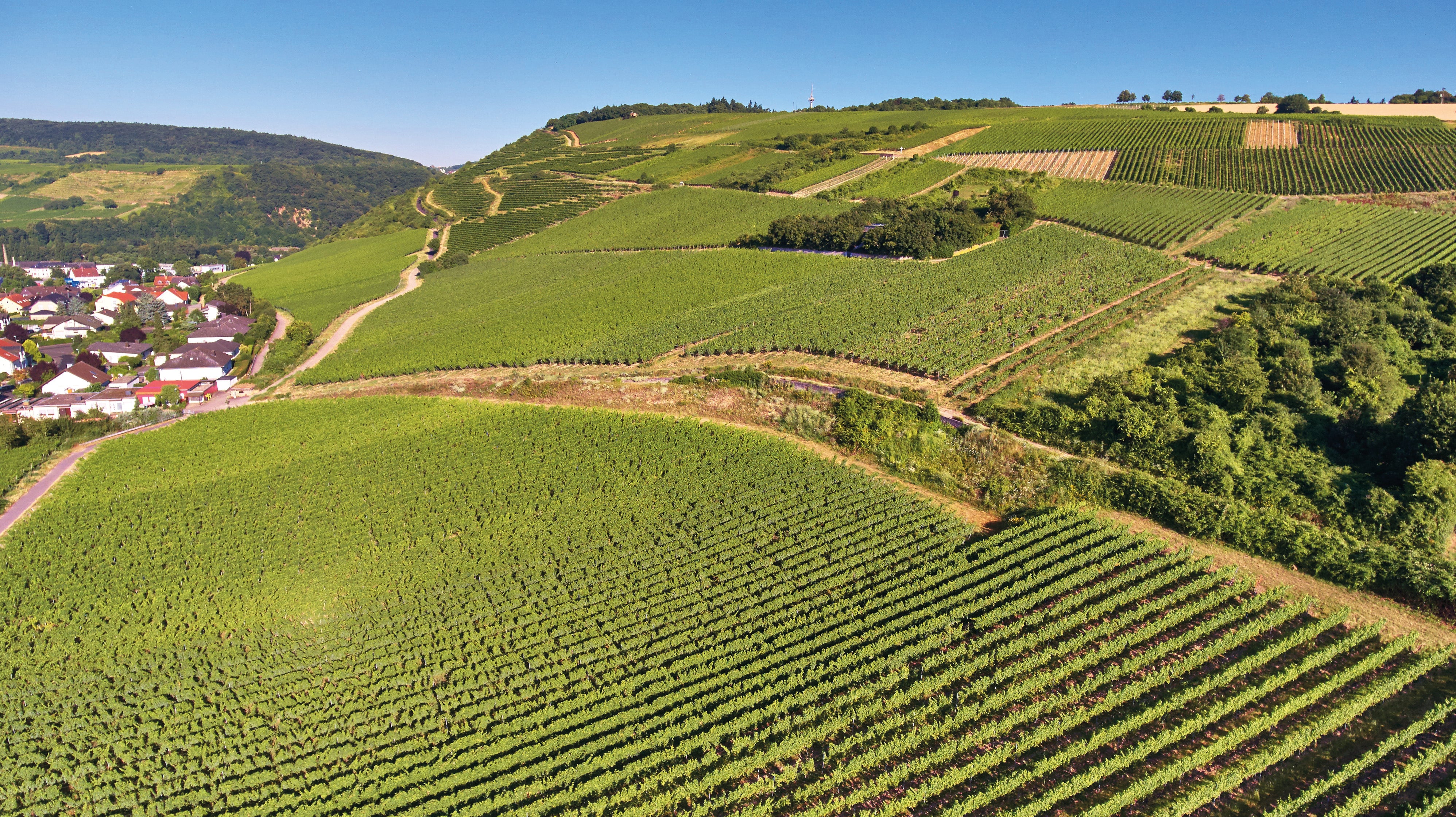 SCHARLACHBERG VDP.GROSSES GEWÄCHS® Riesling trocken 2015