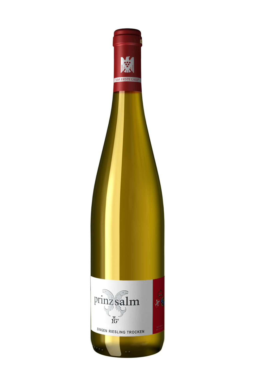 BINGEN Riesling VDP.Aus Ersten Lagen trocken 2021