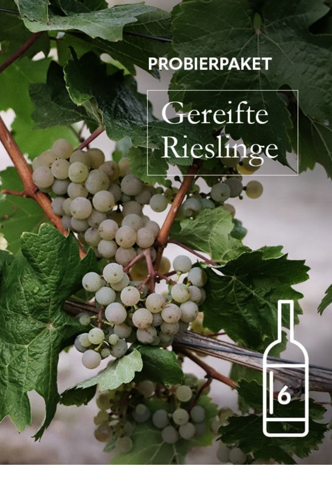Gereifte Rieslinge Probierpaket