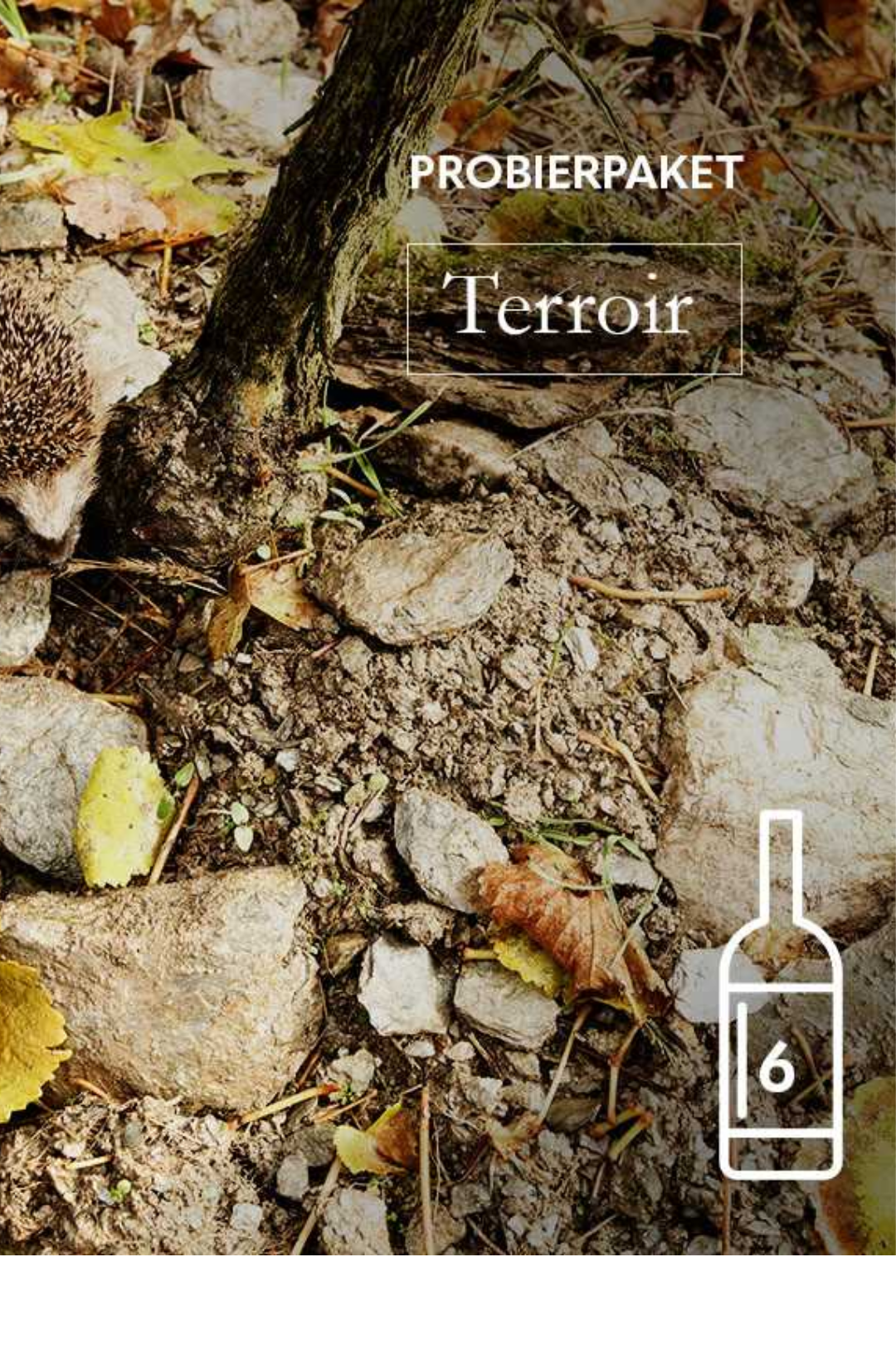 Terroir Probierpaket