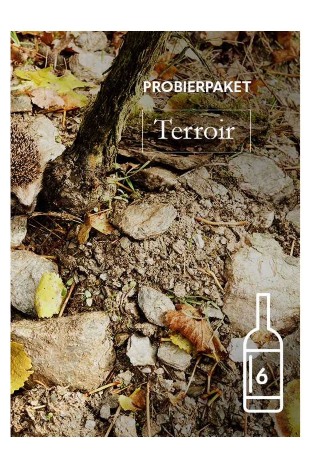 Probierpaket Terroir