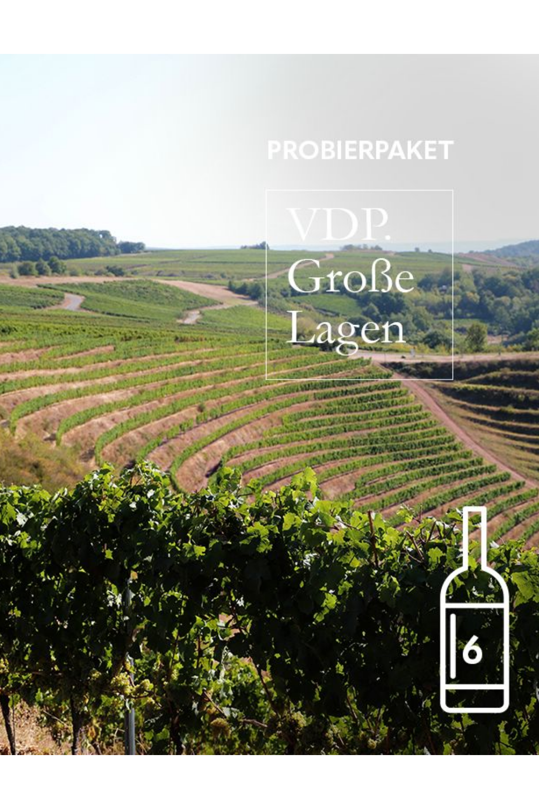 Probierpaket VDP.Große Lagen