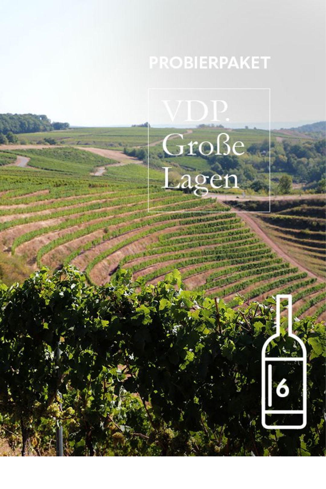 VDP.Große Lagen Probierpaket